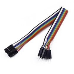 Linea Dupont 10 pin